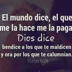 Meet your Posher, Jose luis